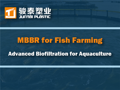 MBBR žuvų auginimui: pažangus biofiltravimas akvakultūrai